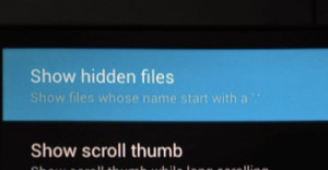 Enable Show hidden files